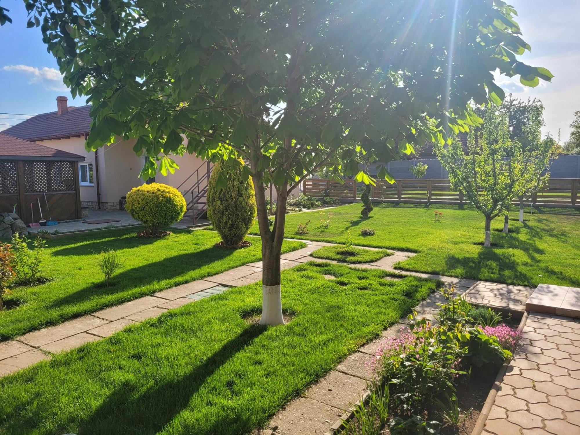 Casa Viviana Hotell Baia Eksteriør bilde
